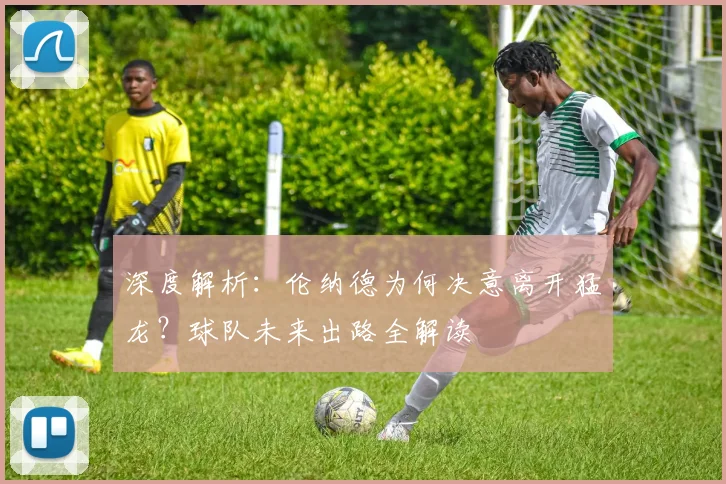 深度解析：伦纳德为何决意离开猛龙？球队未来出路全解读